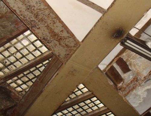 Cálculo y Diagnóstico estructural