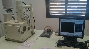 identificación de material polímero plástico técnicas de microscopía electrónica SEM con identificación de material mediante tecnología cuantitativa EDX.