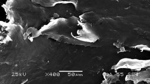 identificación de material polímero plástico técnicas de microscopía electrónica SEM con identificación de material mediante tecnología cuantitativa EDX.