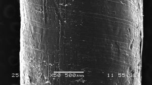 identificación de material polímero plástico técnicas de microscopía electrónica SEM con identificación de material mediante tecnología cuantitativa EDX.